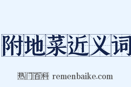 附地菜近义词是什么意思的图片